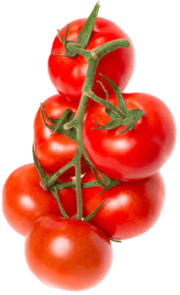 Illustration packshot tomates